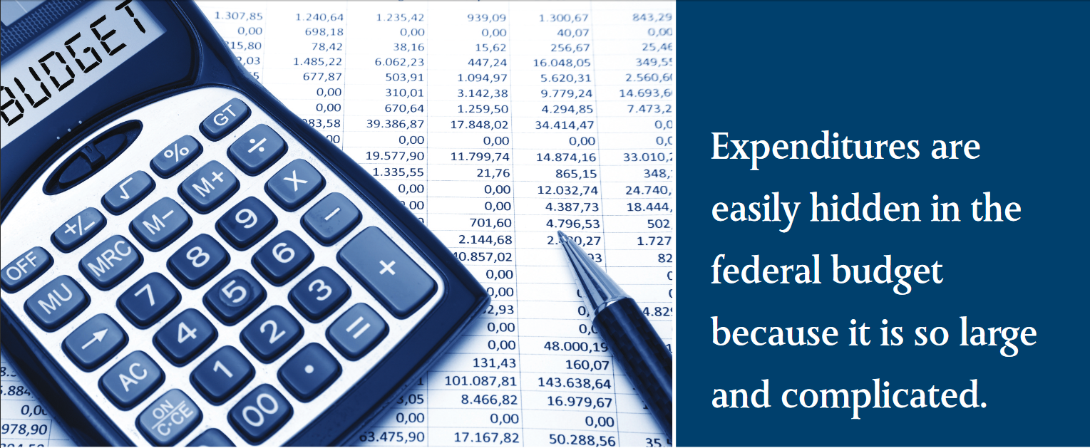 Expenditures are easily hidden in the federal budget because it is so large and complicated.