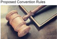 Proposed Convention Rules