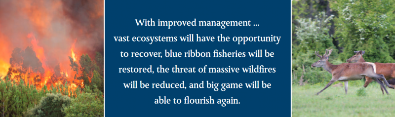 With improved management ... vast ecosystems will have the opportunity to recover, blue ribbon fisheries will be restored, the threat of massive wildfires will be reduced, and big game will be able to flourish again.
